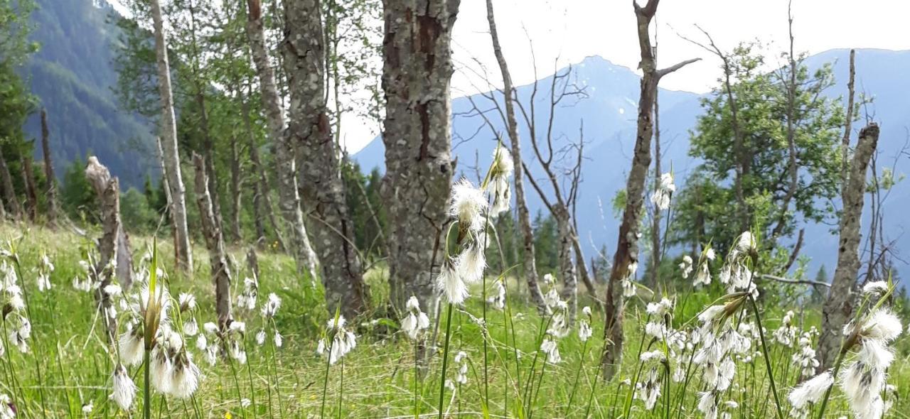 Unterreinischhof Villa Anterselva di Mezzo Ngoại thất bức ảnh
