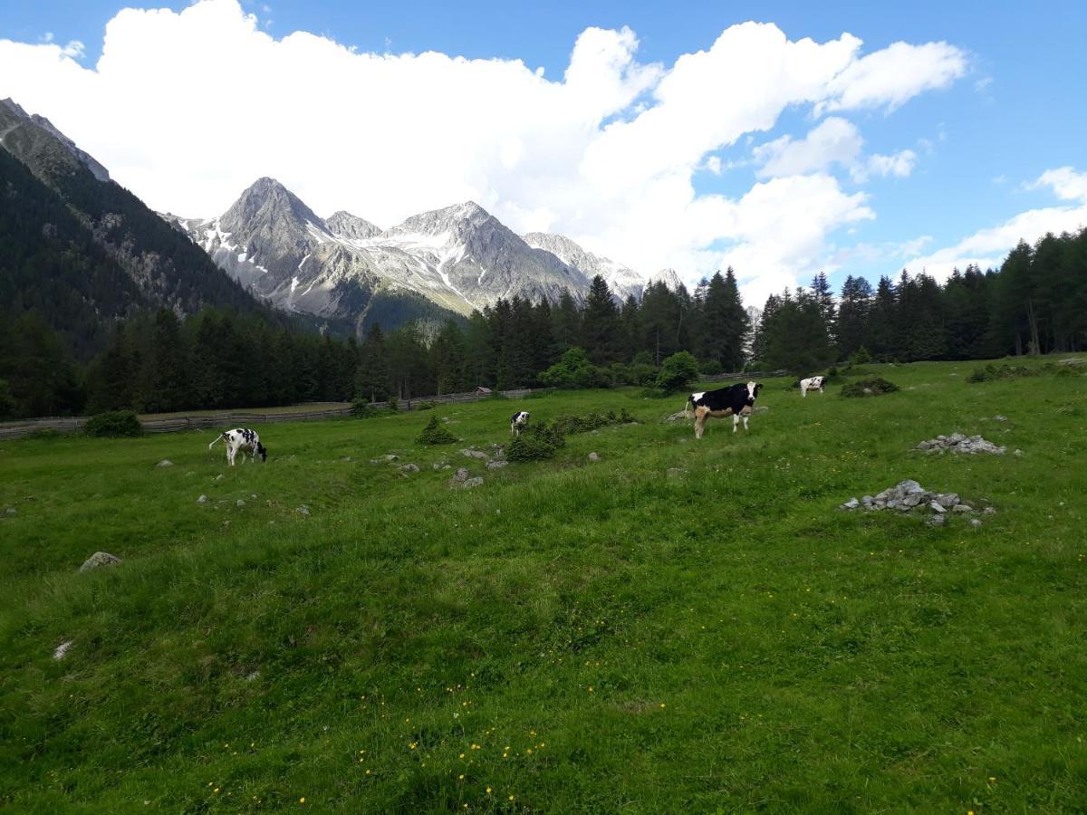 Unterreinischhof Villa Anterselva di Mezzo Ngoại thất bức ảnh