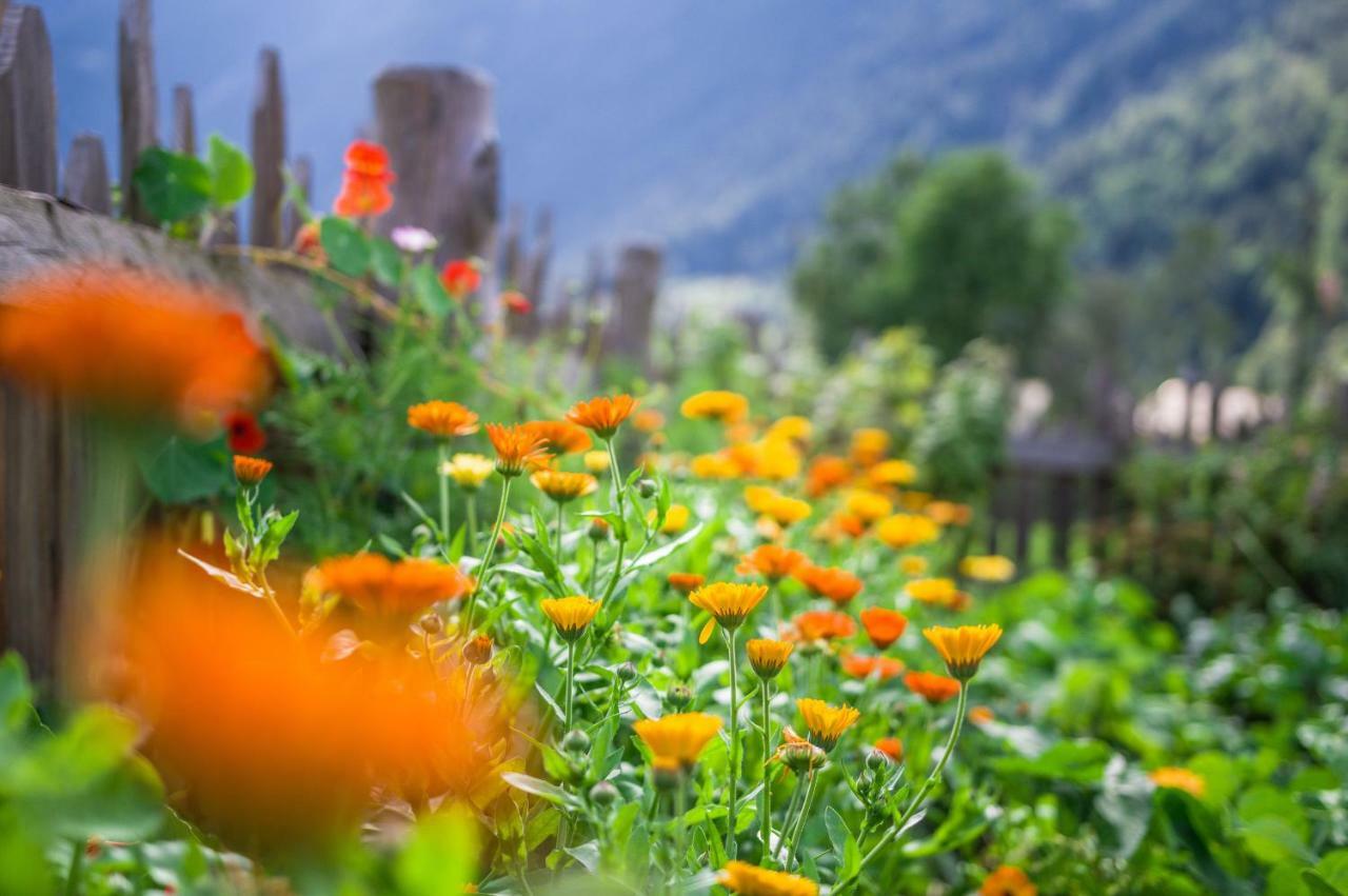 Unterreinischhof Villa Anterselva di Mezzo Ngoại thất bức ảnh